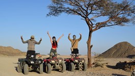 /photos/dailytrip/Safari 9 Titos_3068c_lg.jpg